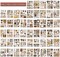 50 Sheets Precut Dark Academia Washi Stickers Book for Journaling(Retro Time)